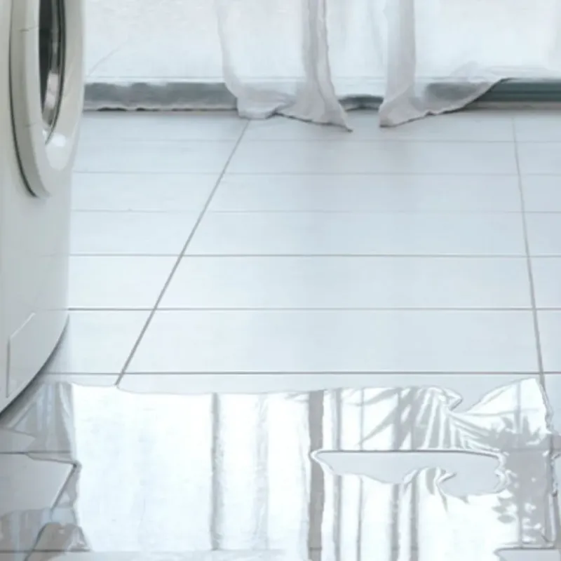 Appliance Leak Cleanup in Brownsville, KY