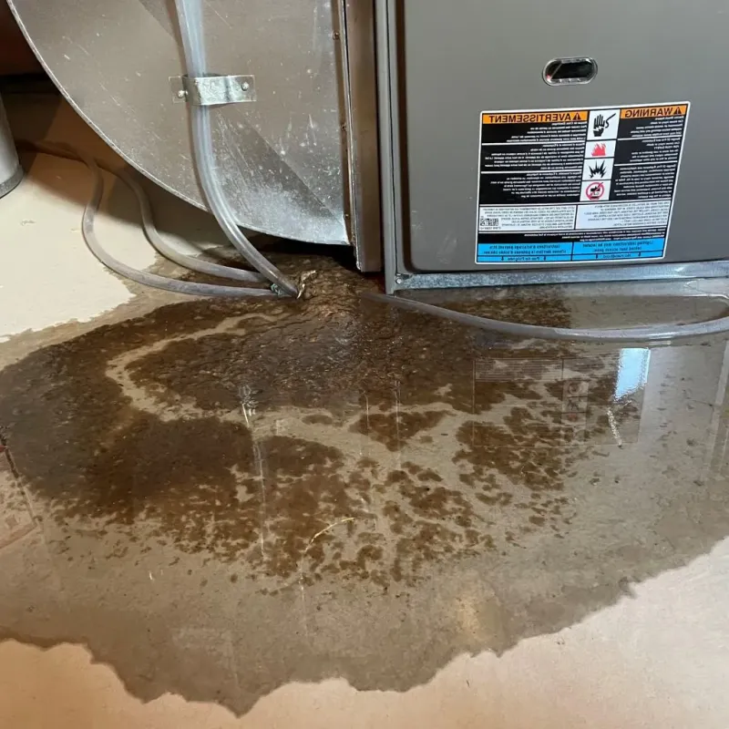 Pipe Burst and Leak Restoration in Brownsville, KY