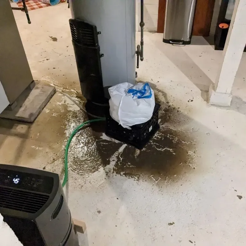 Sewage Backup Cleanup Service in Brownsville, KY